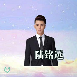 陆铭远